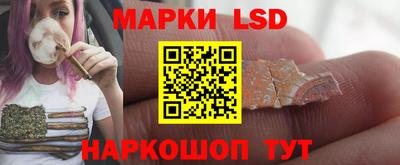 крисы Чебаркуль