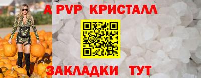 стафф Шебекино