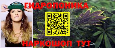 стафф Шебекино