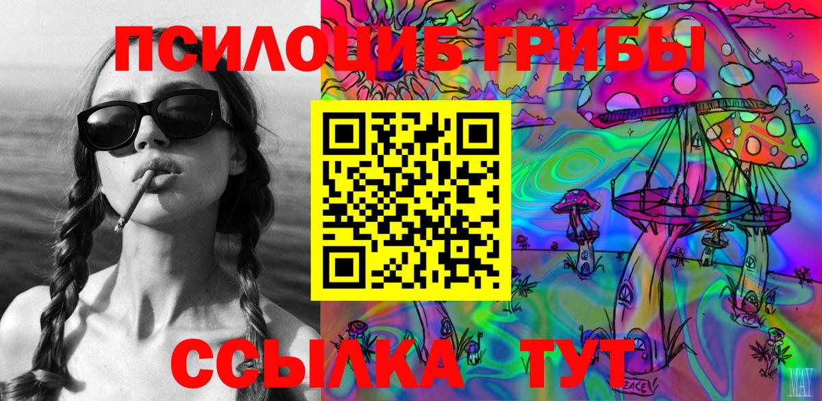 Котлас  Псилоцибиновые грибы Psilocybe  Галлюциногенные грибы Cubensis  Вход с VPN 